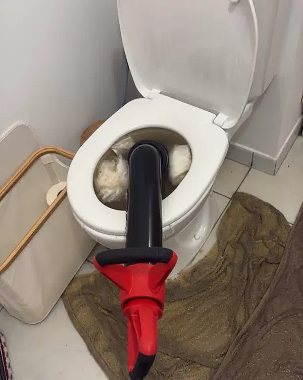 Débouchage d'une cuvette de WC à la pompe